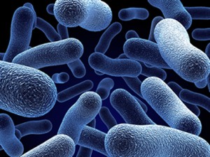 Spanish Research Team Uses Roche's GS FLX+ System to Sequence Antibiotic Resistance Bacteria in Recent Hospital Outbreak